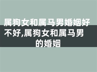 属狗女和属马男婚姻好不好,属狗女和属马男的婚姻