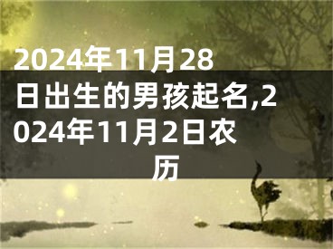 2024年11月28日出生的男孩起名,2024年11月2日农历