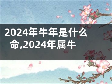 2024年牛年是什么命,2024年属牛