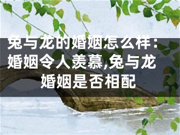 兔与龙的婚姻怎么样：婚姻令人羡慕,兔与龙婚姻是否相配