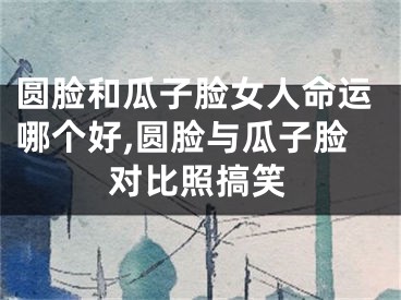 圆脸和瓜子脸女人命运哪个好,圆脸与瓜子脸对比照搞笑