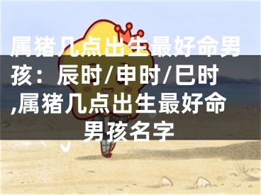 属猪几点出生最好命男孩：辰时/申时/巳时,属猪几点出生最好命男孩名字