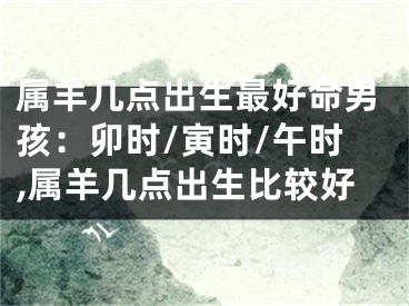 属羊几点出生最好命男孩：卯时/寅时/午时,属羊几点出生比较好