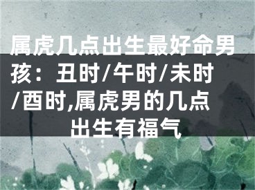 属虎几点出生最好命男孩：丑时/午时/未时/酉时,属虎男的几点出生有福气