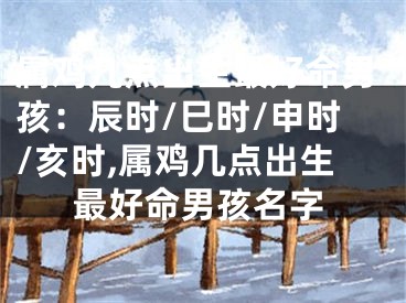 属鸡几点出生最好命男孩：辰时/巳时/申时/亥时,属鸡几点出生最好命男孩名字