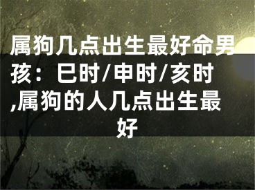属狗几点出生最好命男孩：巳时/申时/亥时,属狗的人几点出生最好