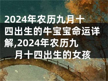 2024年农历九月十四出生的牛宝宝命运详解,2024年农历九月十四出生的女孩