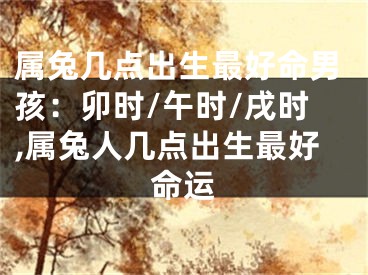 属兔几点出生最好命男孩：卯时/午时/戌时,属兔人几点出生最好命运