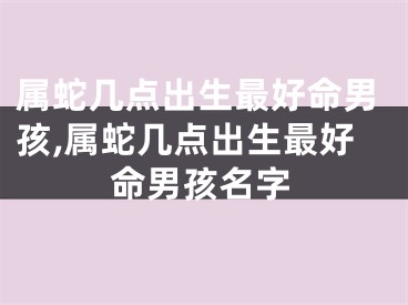 属蛇几点出生最好命男孩,属蛇几点出生最好命男孩名字