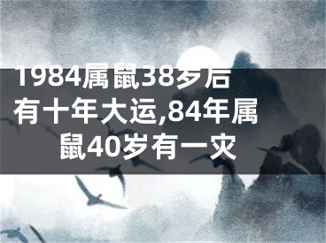 1984属鼠38岁后有十年大运,84年属鼠40岁有一灾
