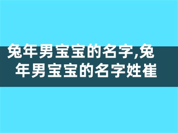 兔年男宝宝的名字,兔年男宝宝的名字姓崔