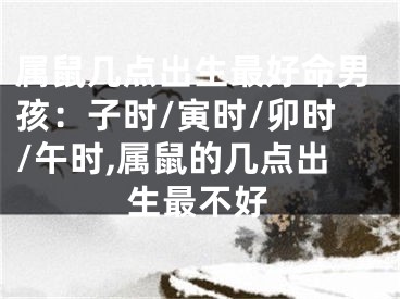 属鼠几点出生最好命男孩：子时/寅时/卯时/午时,属鼠的几点出生最不好