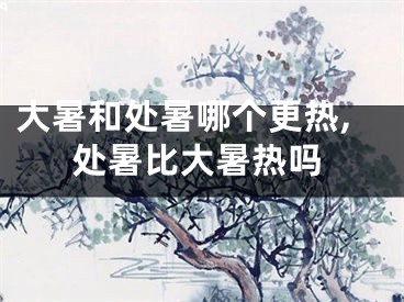 大暑和处暑哪个更热,处暑比大暑热吗