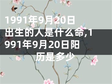 1991年9月20日出生的人是什么命,1991年9月20日阳历是多少