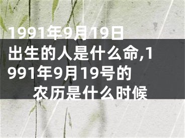 1991年9月19日出生的人是什么命,1991年9月19号的农历是什么时候