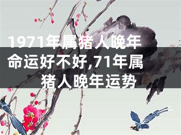 1971年属猪人晚年命运好不好,71年属猪人晚年运势
