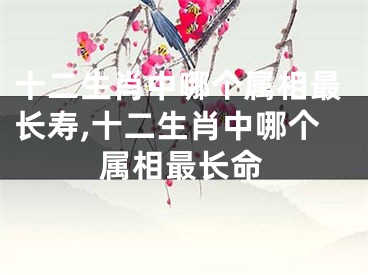 十二生肖中哪个属相最长寿,十二生肖中哪个属相最长命