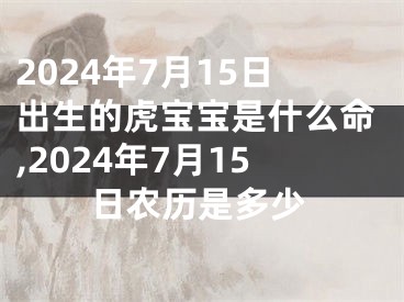 2024年7月15日出生的虎宝宝是什么命,2024年7月15日农历是多少