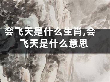 会飞天是什么生肖,会飞天是什么意思