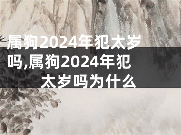 属狗2024年犯太岁吗,属狗2024年犯太岁吗为什么