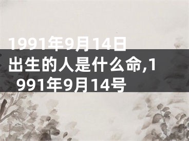 1991年9月14日出生的人是什么命,1991年9月14号