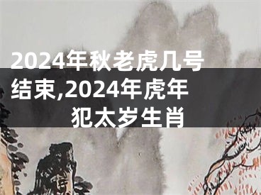 2024年秋老虎几号结束,2024年虎年犯太岁生肖