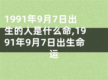 1991年9月7日出生的人是什么命,1991年9月7日出生命运