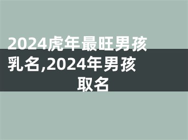 2024虎年最旺男孩乳名,2024年男孩取名