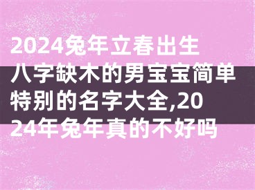 2024兔年立春出生八字缺木的男宝宝简单特别的名字大全,2024年兔年真的不好吗