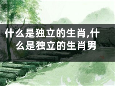 什么是独立的生肖,什么是独立的生肖男