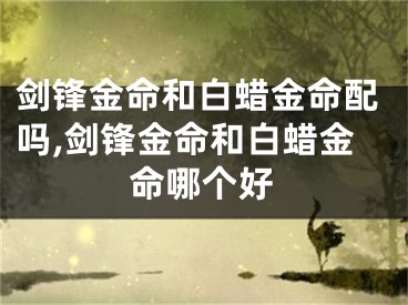 剑锋金命和白蜡金命配吗,剑锋金命和白蜡金命哪个好