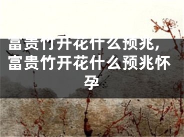 富贵竹开花什么预兆,富贵竹开花什么预兆怀孕