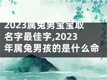 2023属兔男宝宝取名字最佳字,2023年属兔男孩的是什么命