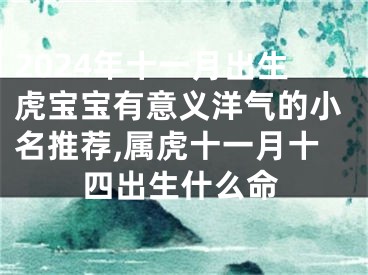 2024年十一月出生虎宝宝有意义洋气的小名推荐,属虎十一月十四出生什么命