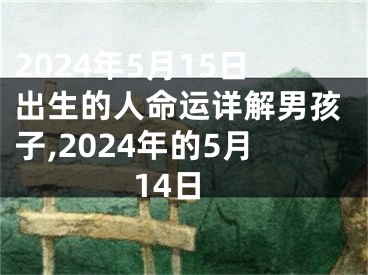 2024年5月15日出生的人命运详解男孩子,2024年的5月14日