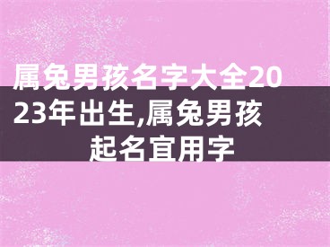 属兔男孩名字大全2023年出生,属兔男孩起名宜用字