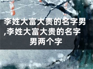 李姓大富大贵的名字男,李姓大富大贵的名字男两个字