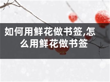 如何用鲜花做书签,怎么用鲜花做书签