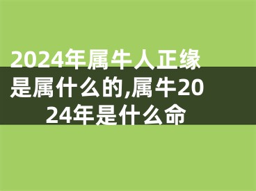 2024年属牛人正缘是属什么的,属牛2024年是什么命