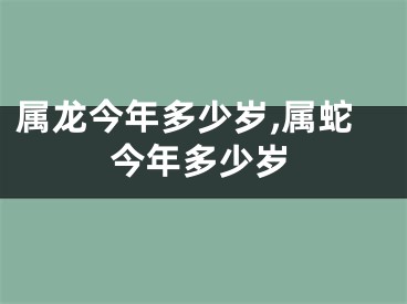 属龙今年多少岁,属蛇今年多少岁