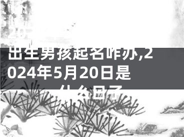 2024年5月28日出生男孩起名咋办,2024年5月20日是什么日子