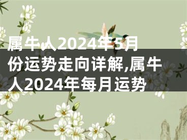 属牛人2024年5月份运势走向详解,属牛人2024年每月运势