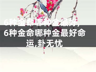 6种金命哪种金最好,6种金命哪种金最好命运,卦无忧