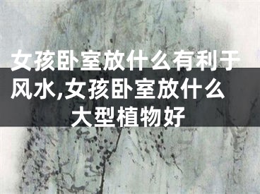 女孩卧室放什么有利于风水,女孩卧室放什么大型植物好