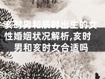 亥时男和辰时出生的女性婚姻状况解析,亥时男和亥时女合适吗