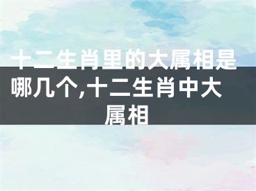 十二生肖里的大属相是哪几个,十二生肖中大属相
