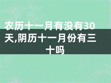 农历十一月有没有30天,阴历十一月份有三十吗
