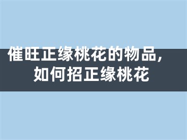 催旺正缘桃花的物品,如何招正缘桃花