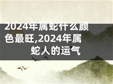 2024年属蛇什么颜色最旺,2024年属蛇人的运气