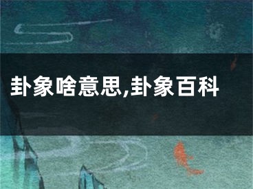 卦象啥意思,卦象百科